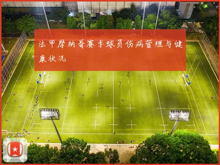 法甲摩纳哥赛季球员伤病管理与健康状况