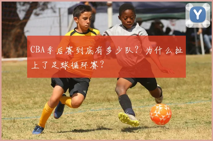 CBA季后赛到底有多少队?为什么扯上了足球循环赛?