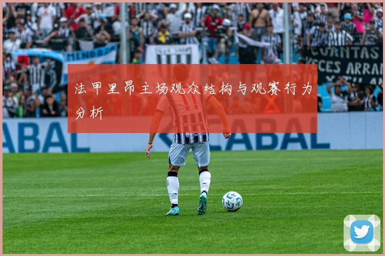法甲里昂主场观众结构与观赛行为分析