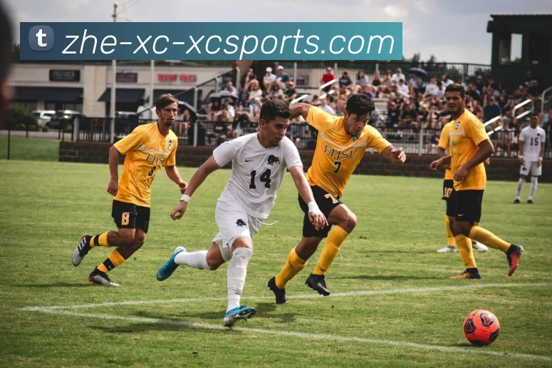 杏彩体育平台生态图