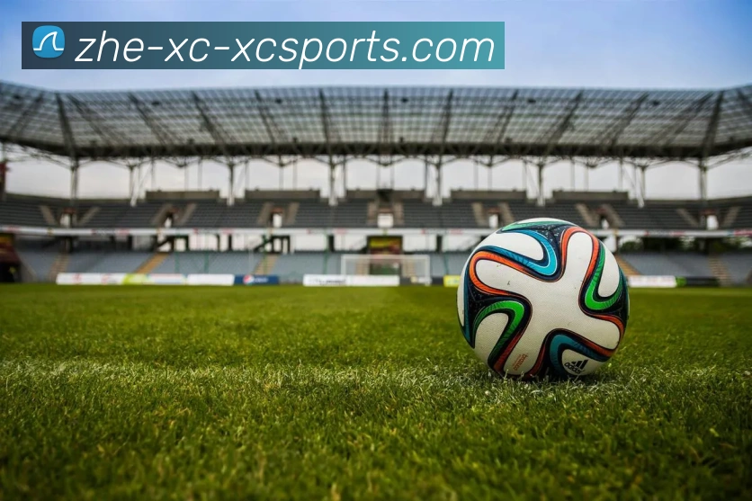 辅助工具 辅助工具